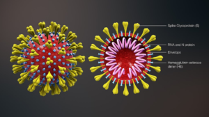 Read more about the article WHO Declares the COVID-19 Outbreak a Global Pandemic