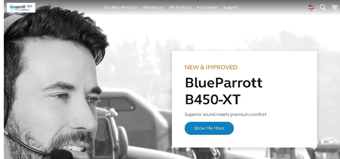 BlueParrott