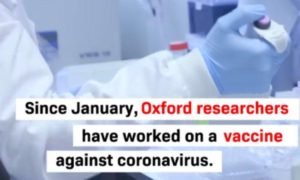 Read more about the article New study reveals Oxford coronavirus vaccine produces strong immune response