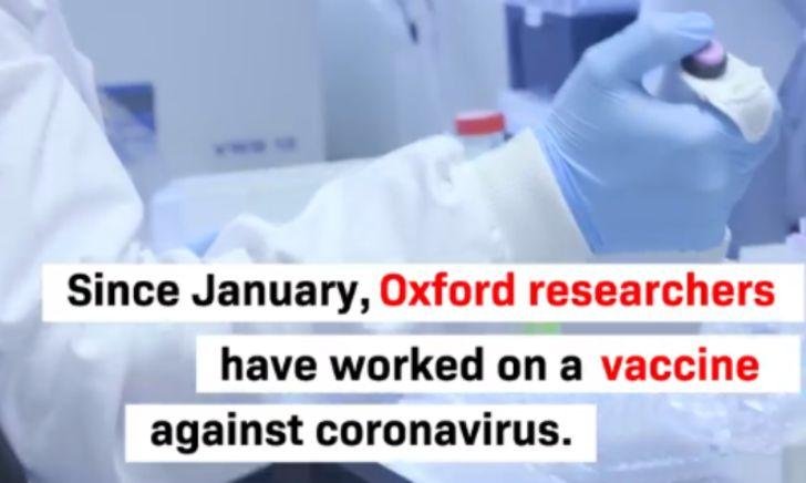 Read more about the article New study reveals Oxford coronavirus vaccine produces strong immune response