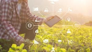 Read more about the article Nokia and Vi CSR deploy SmartAgri solution to enhance productivity of 50,000 farmers in India