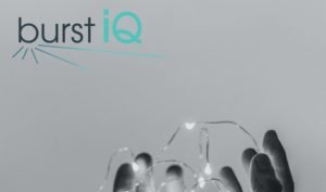 Read more about the article BurstIQ’s Secure Health Data Network Passes 2020 Independent SOC Audit