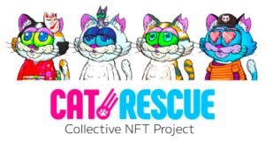 Read more about the article W3 Fortune Raises 120 Million Yen In Funding: First release will be CatRescue collectible NFTs