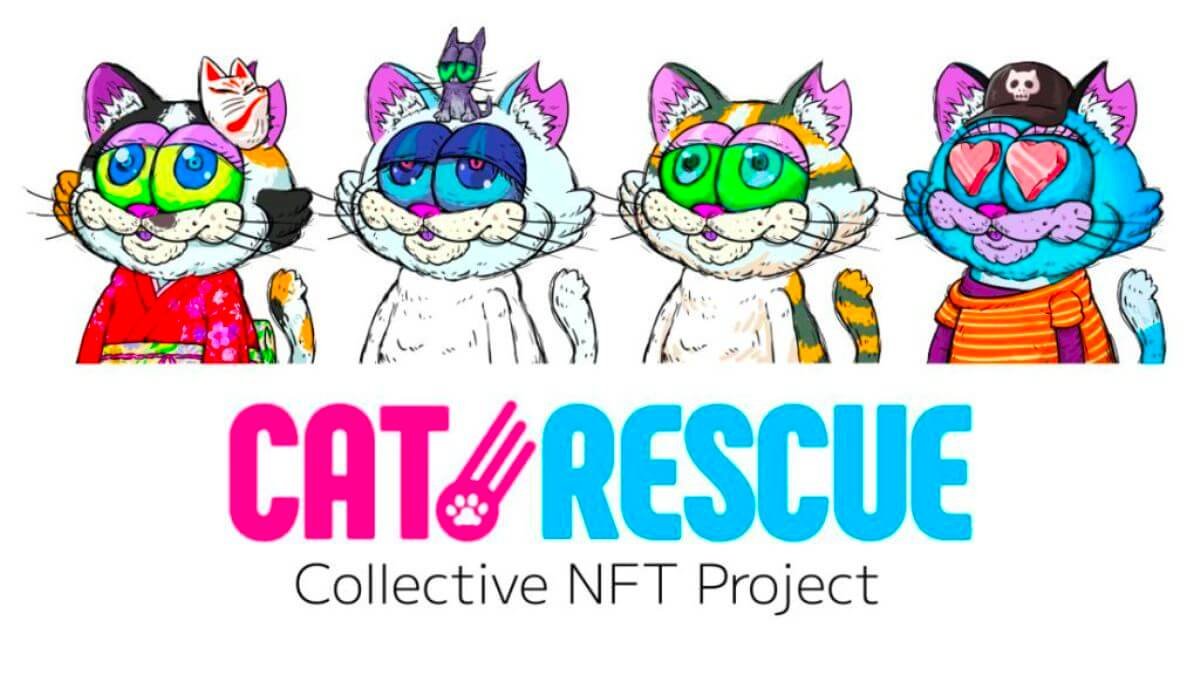 Read more about the article W3 Fortune Raises 120 Million Yen In Funding: First release will be CatRescue collectible NFTs